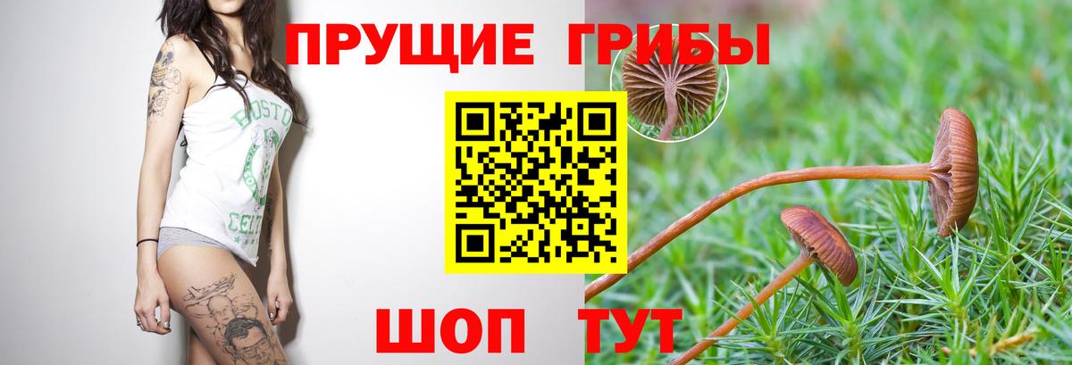 Каннабис Жуковский